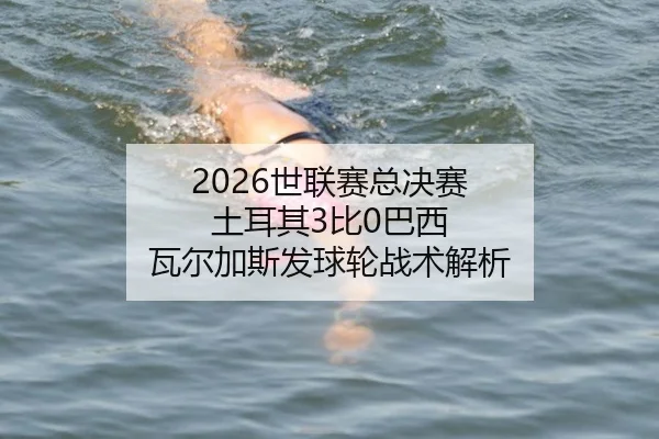 shi-lian-sai-zong-jue-sai-tu-er-qi-bi-ba-xi-wa-er-jia-si-fa-qiu-lun-zhan-shu-jie-xi-1-537.jpg